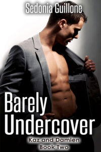 Barely Undercover Cover Art